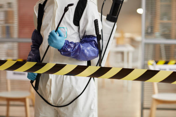 Professional Biohazard technician working in Sorrento, FL